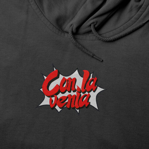 Sudadera con Capucha Bordada - Phoenix Wright Con La Venia