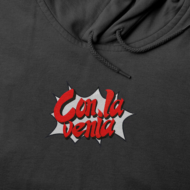 Sudadera con Capucha Bordada - Phoenix Wright Con La Venia
